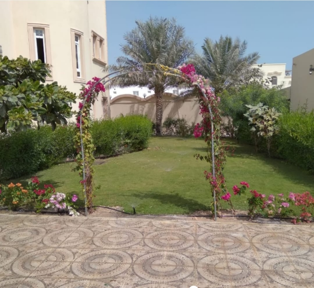 المدينه لزراعه والديكور - 8