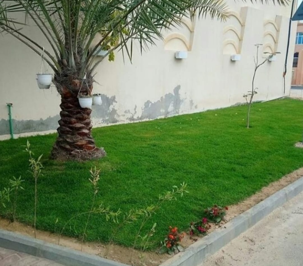 المدينه لزراعه والديكور - 6