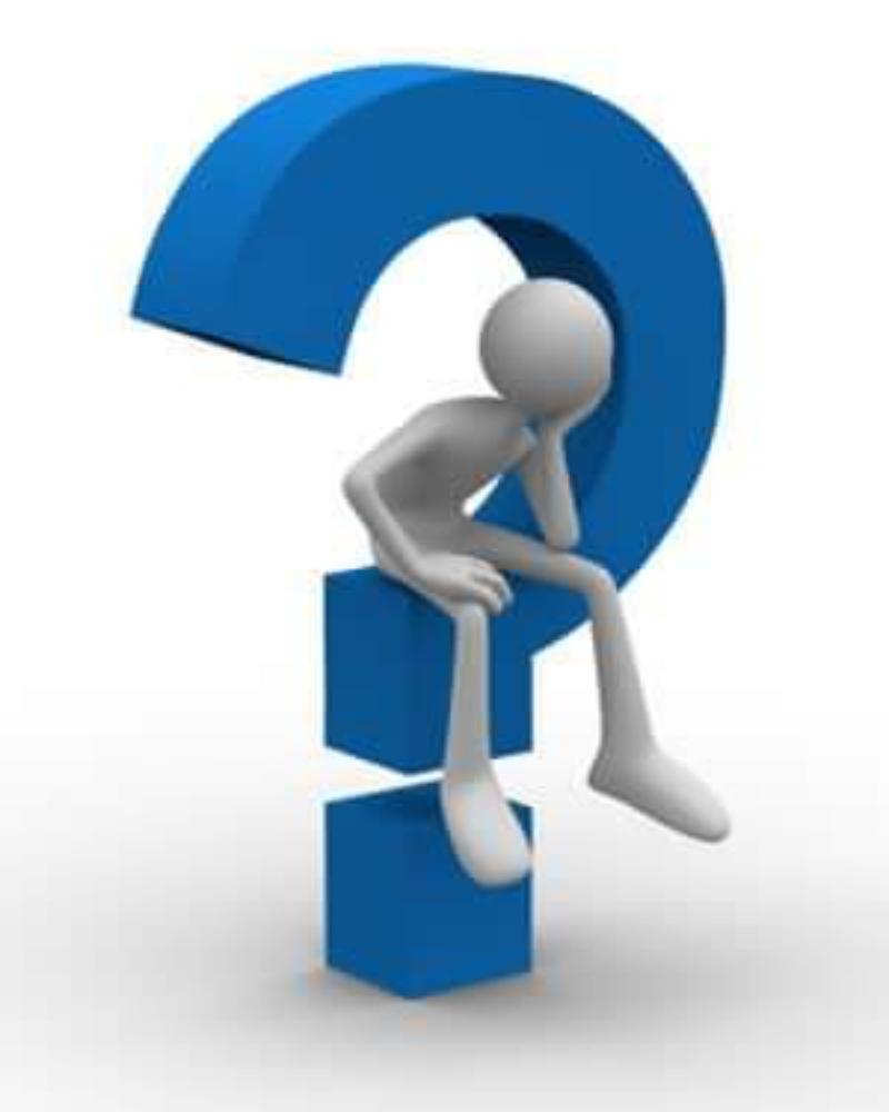 أستاذة ميادة حمدي - 1