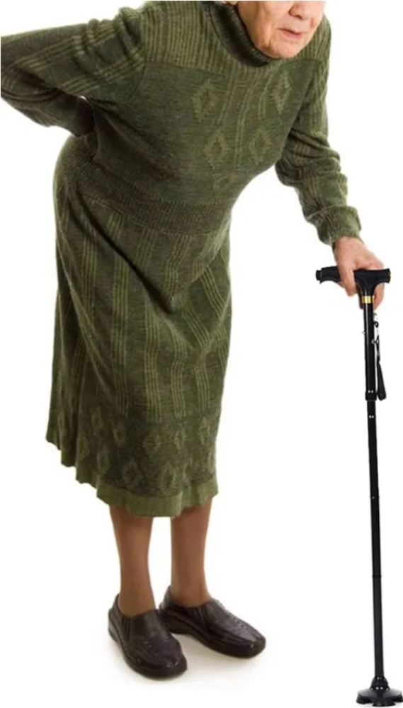 Old age stick - 1