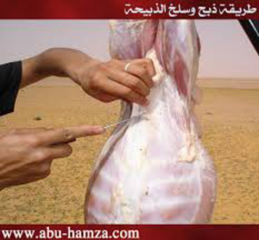 جزار على الشريعه الاسلامية - 1