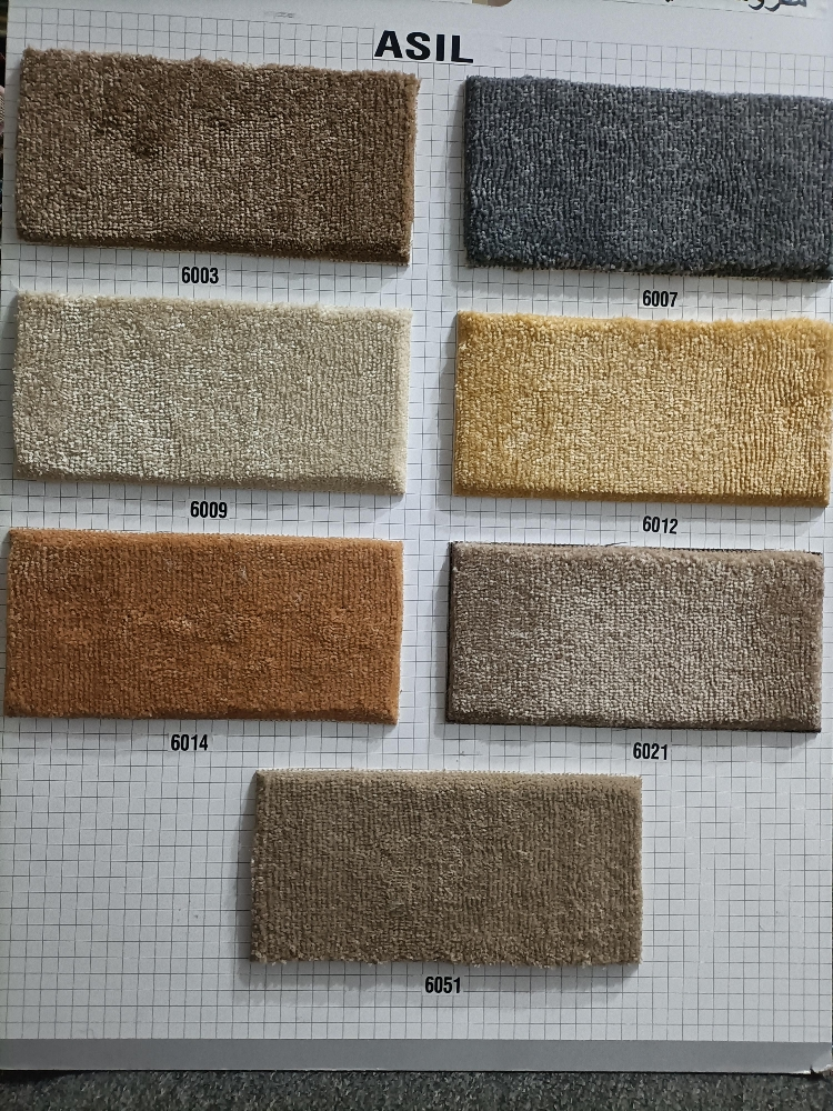 turkey plane thick carpet - 1