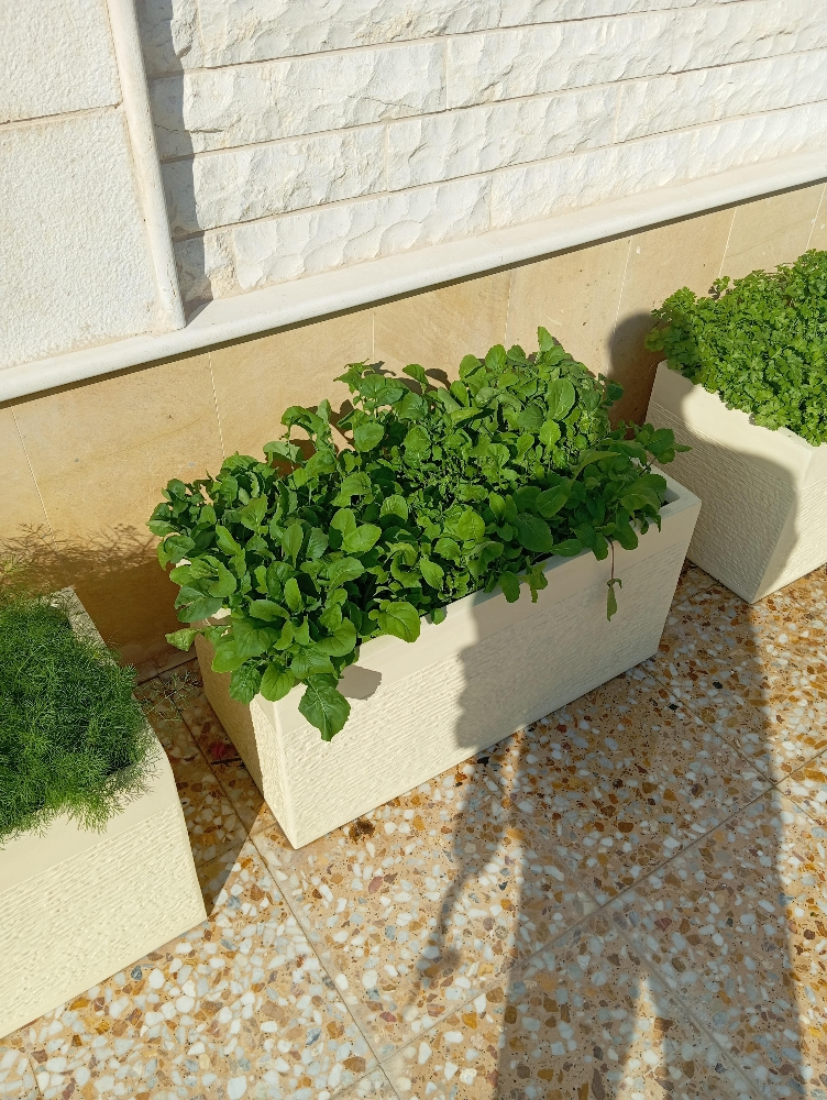 مزارع - 3