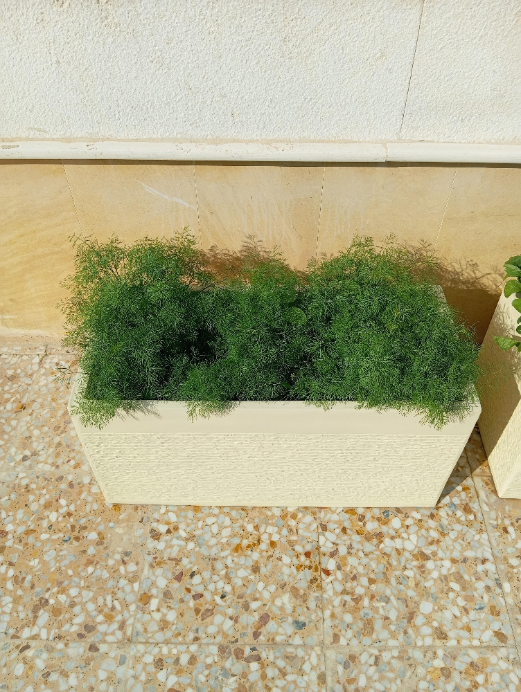 مزارع - 4