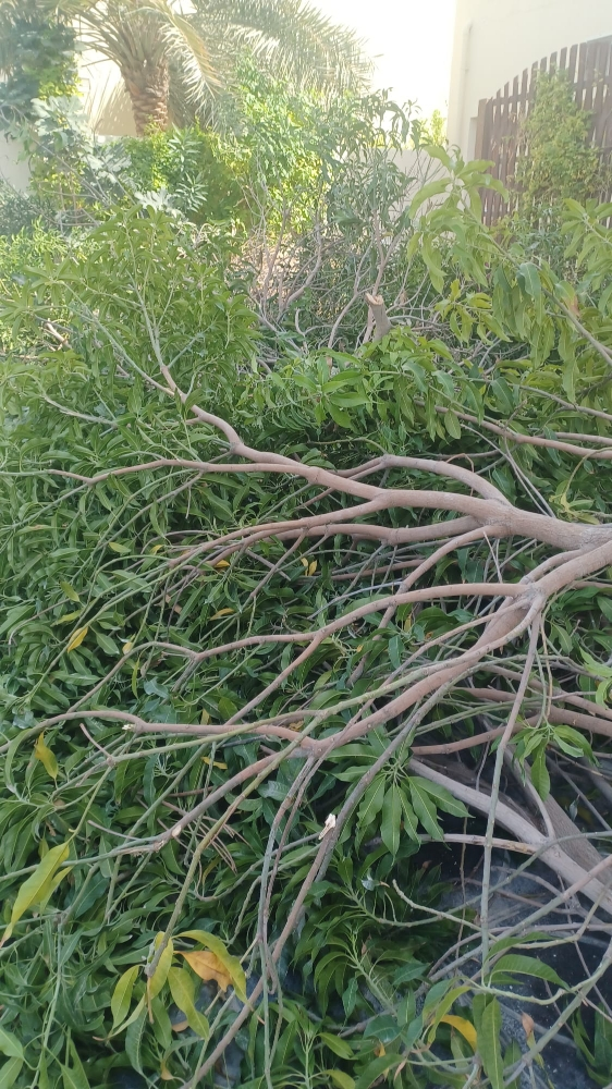 مزارع - 1