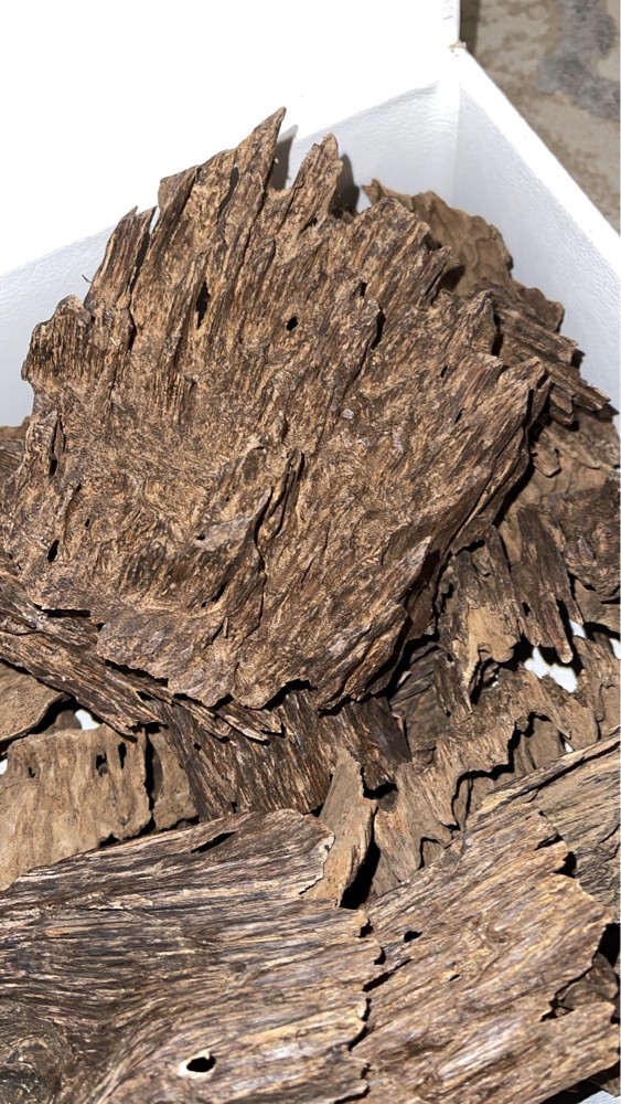 عود چار هندي - 2