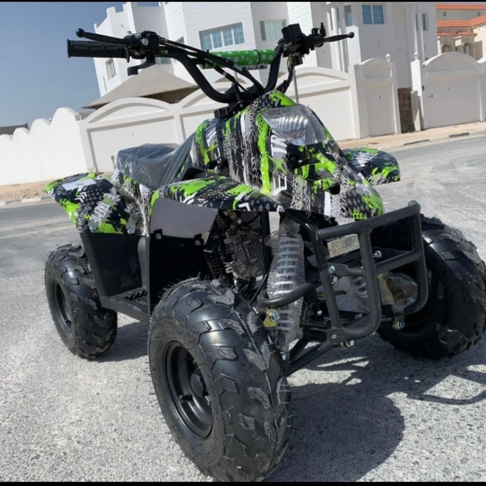 budbuda  patrol 110cc - 1