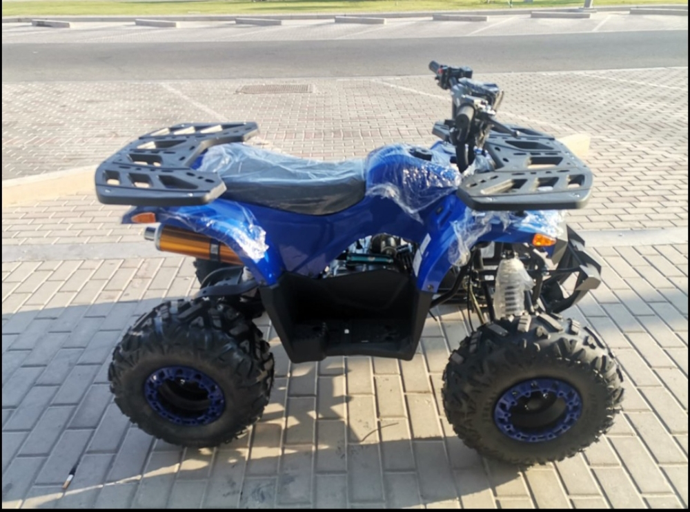 budbuda  patrol 125cc - 4