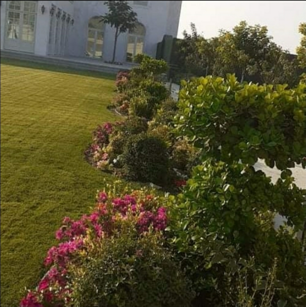 مهندس تنسيق الحدائق٠ - 3