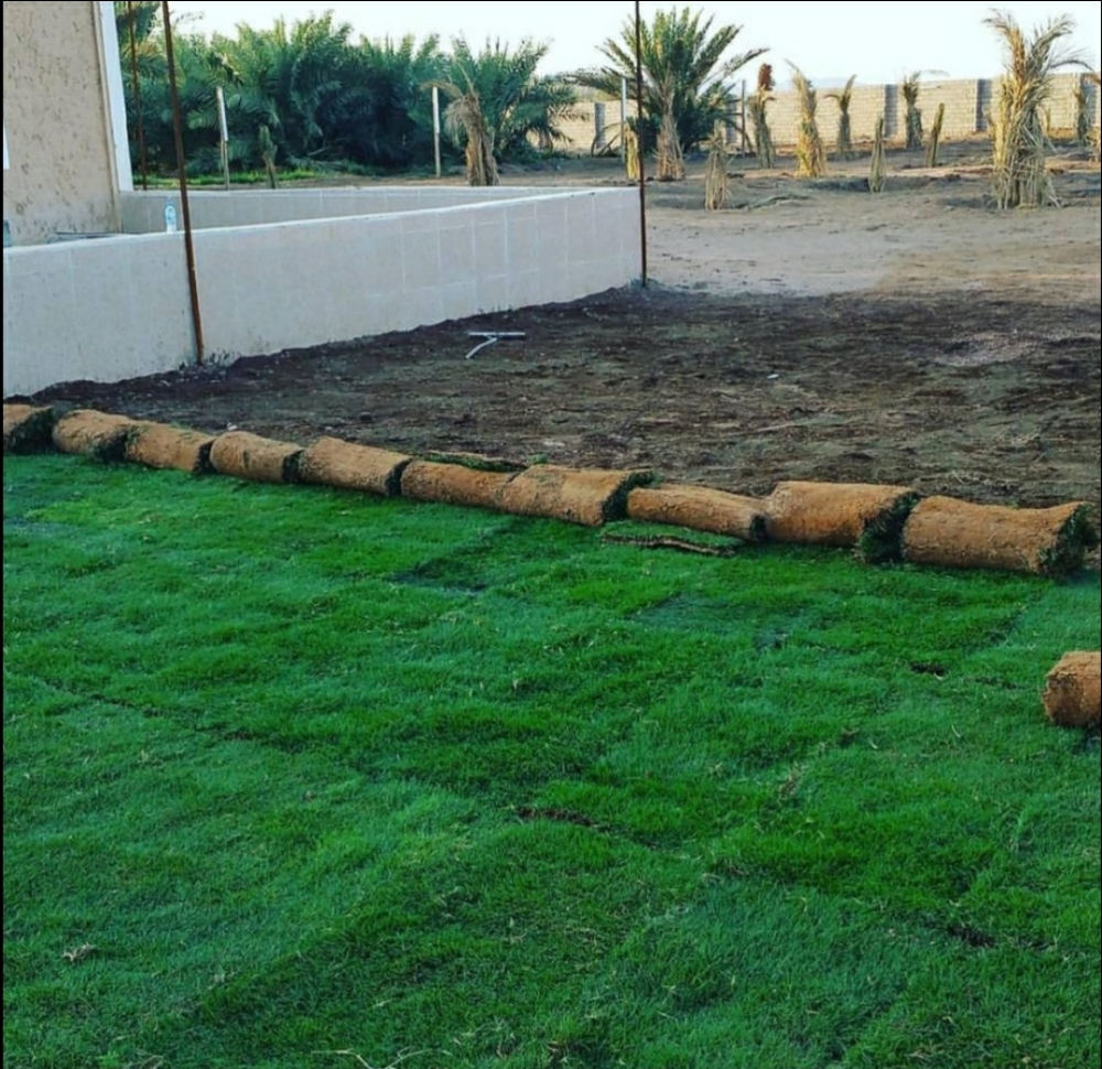مهندس تنسيق الحدائق٠ - 1