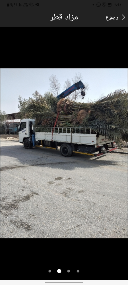 كرين 3 طن - 2