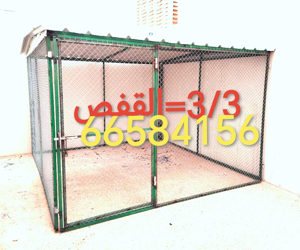3/3=القفص - 2