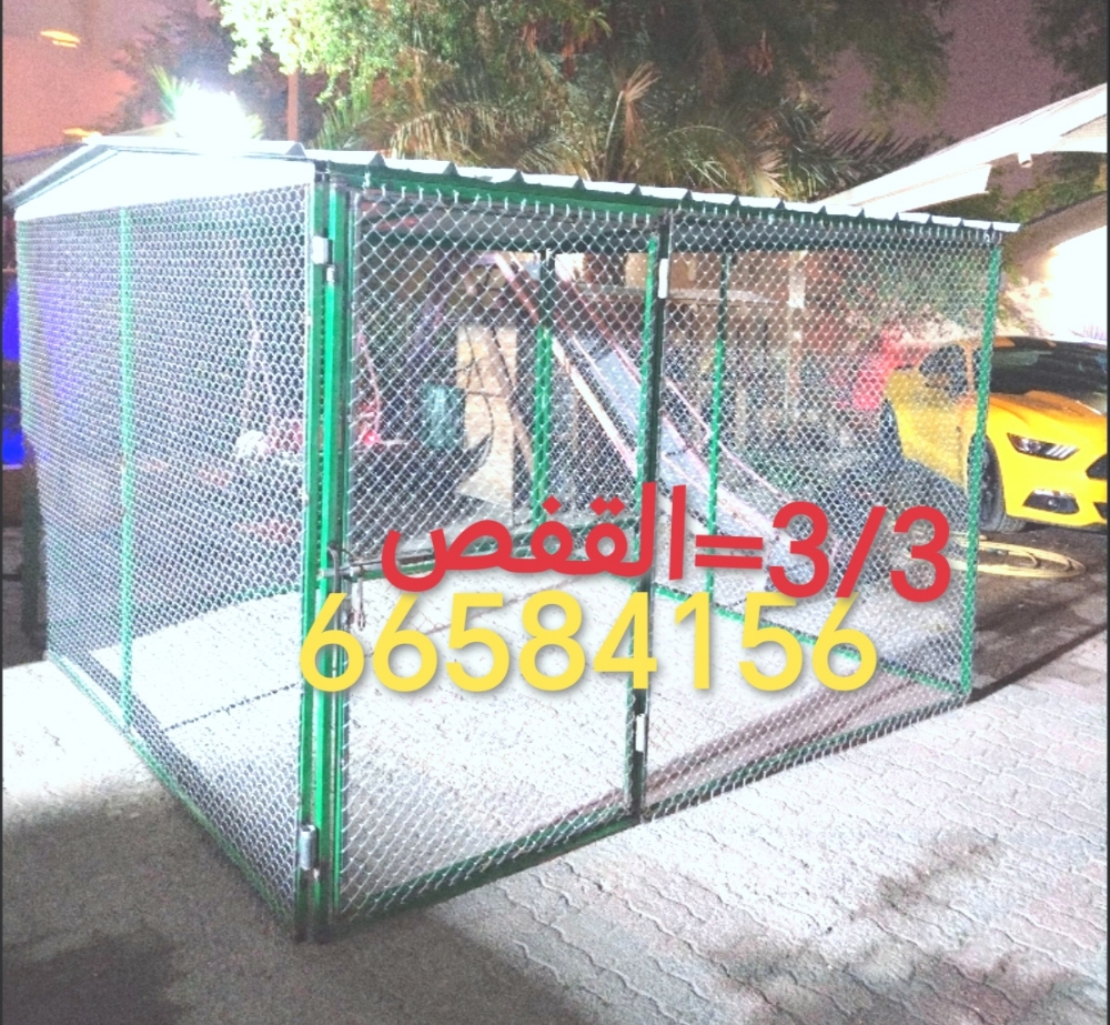 3/3=القفص - 1