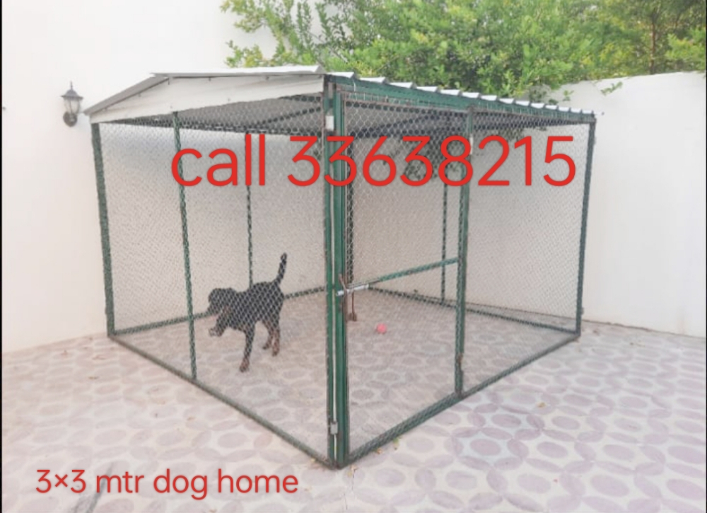 Dog home - 1