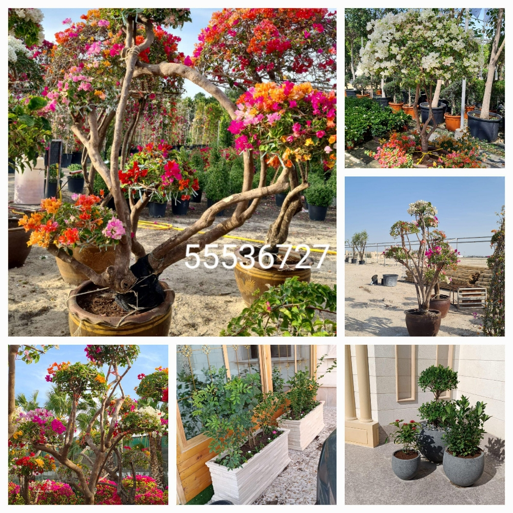 مزارع - 1