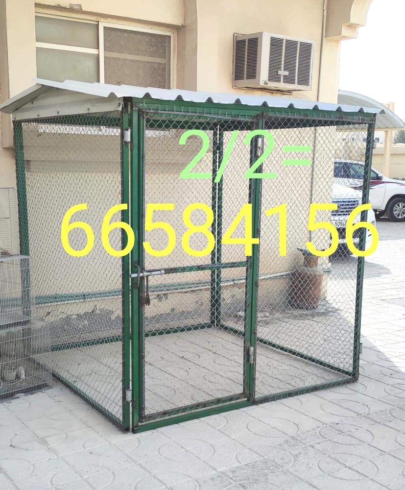 2/2=القفص - 2