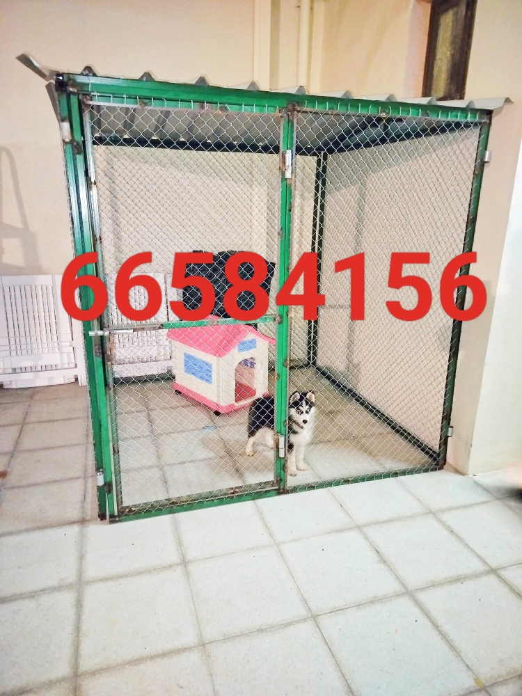 2/2=القفص - 3