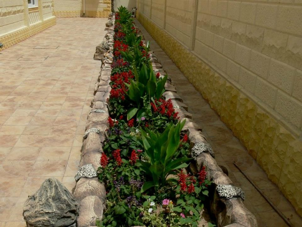 زراعه الزهوار. - 5