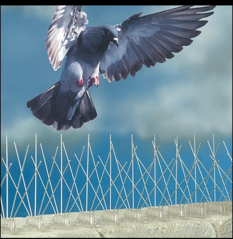 0bird repellent - 1