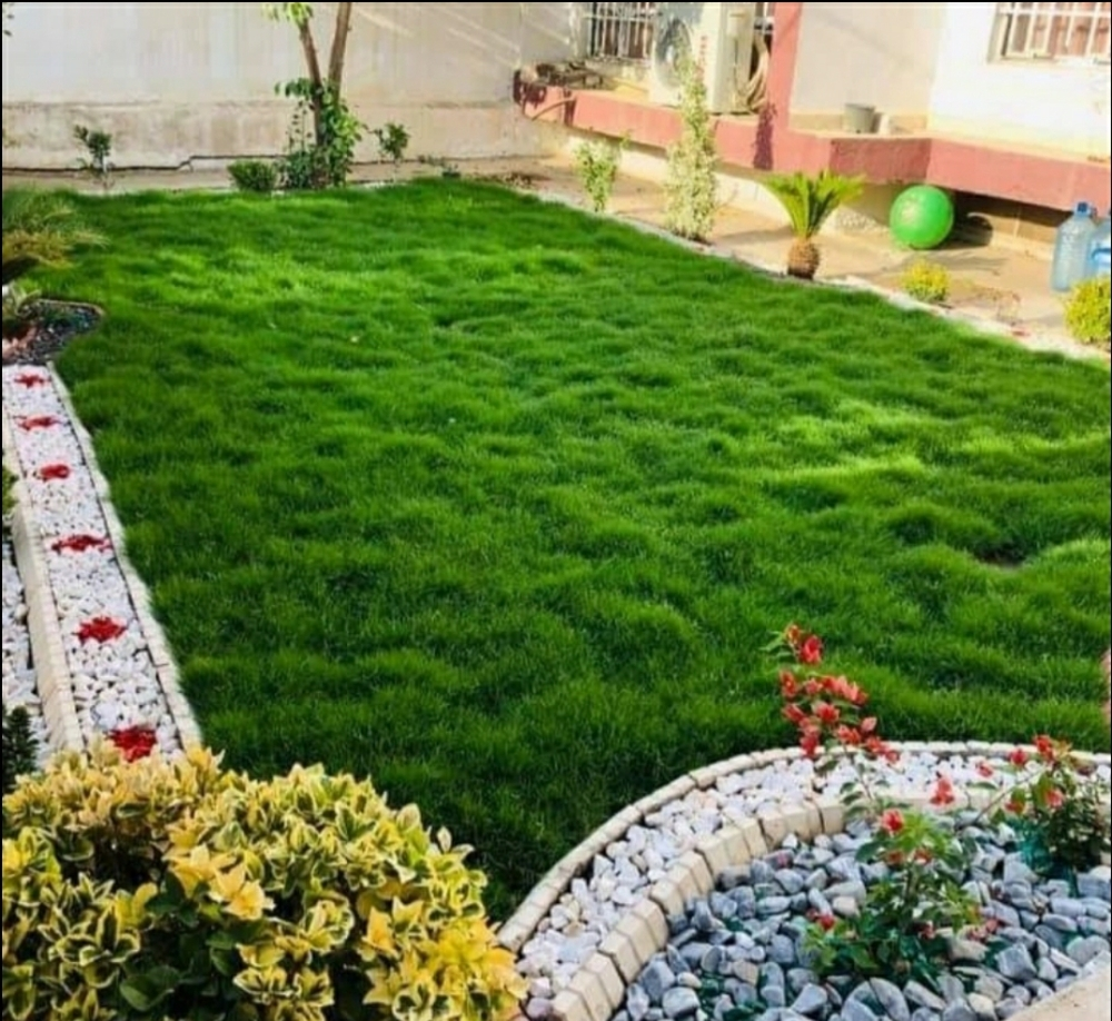 مهندس زراعى لتنسيق الحدائق - 2