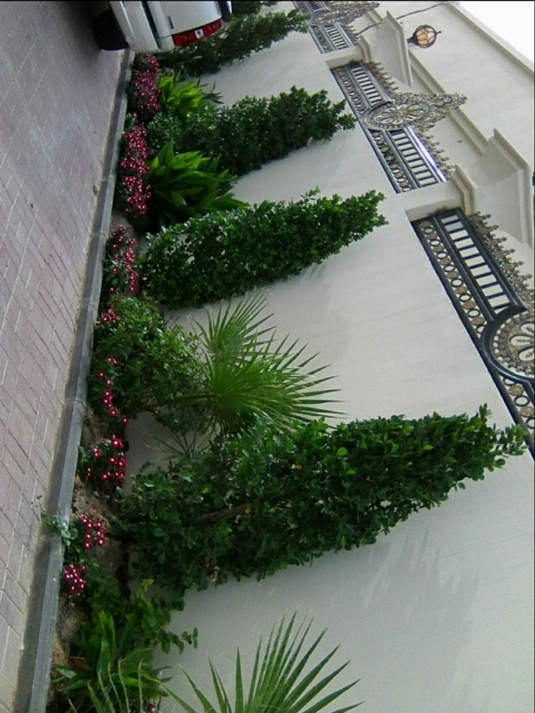 مهندس زراعى لتنسيق الحدائق - 3