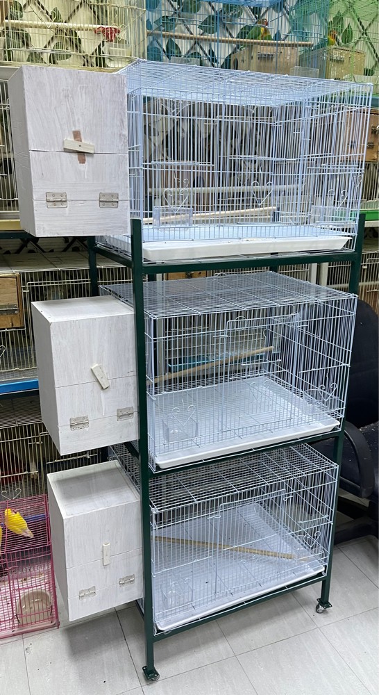 New cage  with 3 levels &new nest - 3