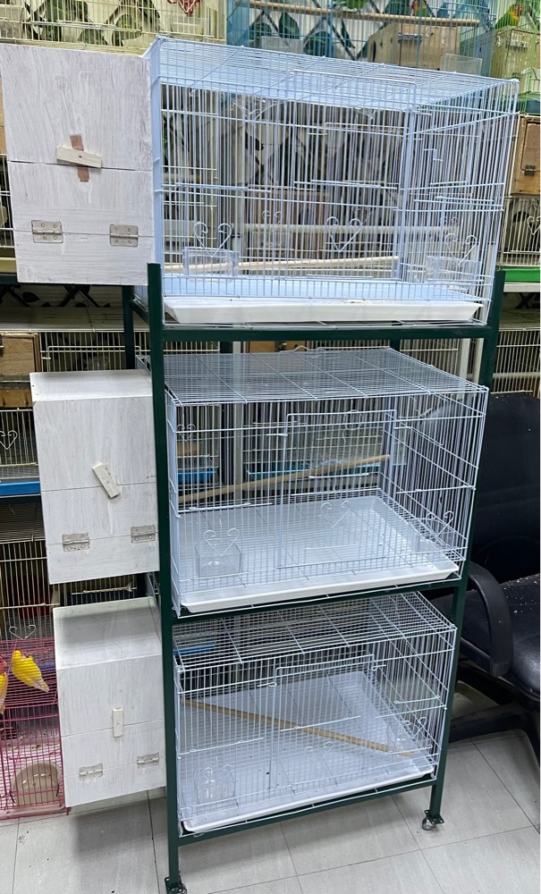 New cage  with 3 levels &new nest - 4
