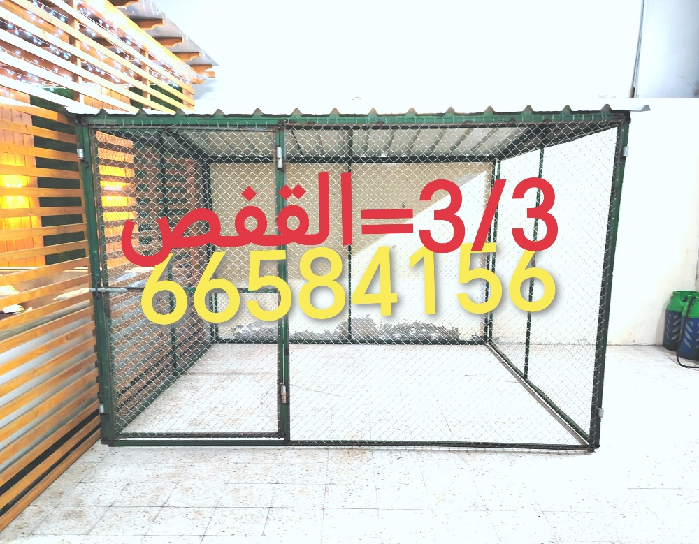 3/3=القفص - 1