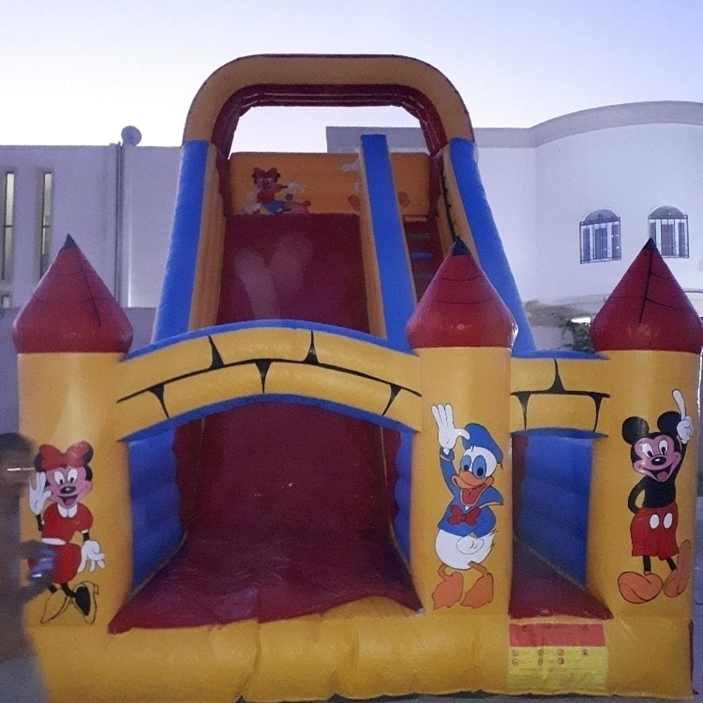 للبيع زحلاقيه مع بركه سباحه - 2
