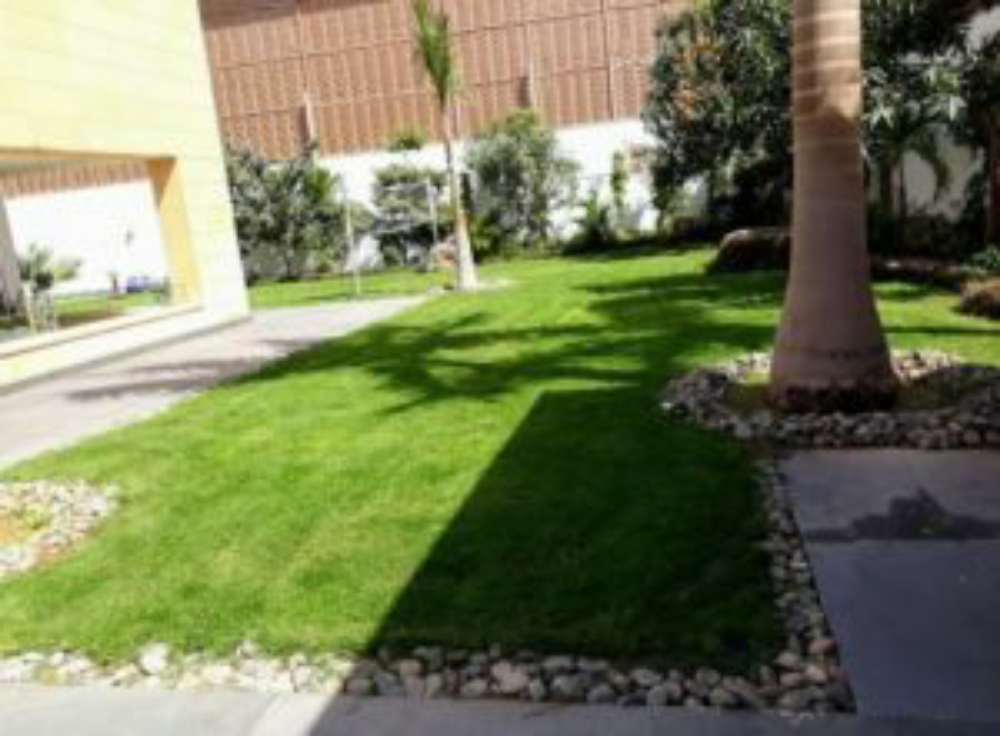 مزارع لتنسيق الحدائق٧٧٠٠ - 3