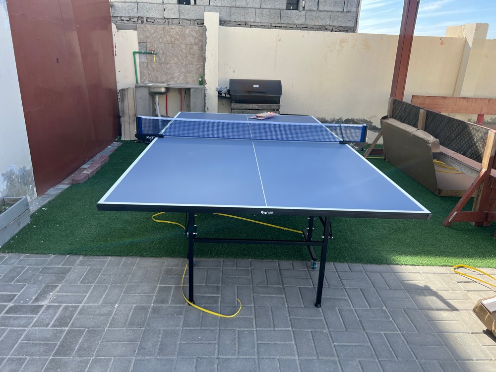 تنس الطاولة - 2