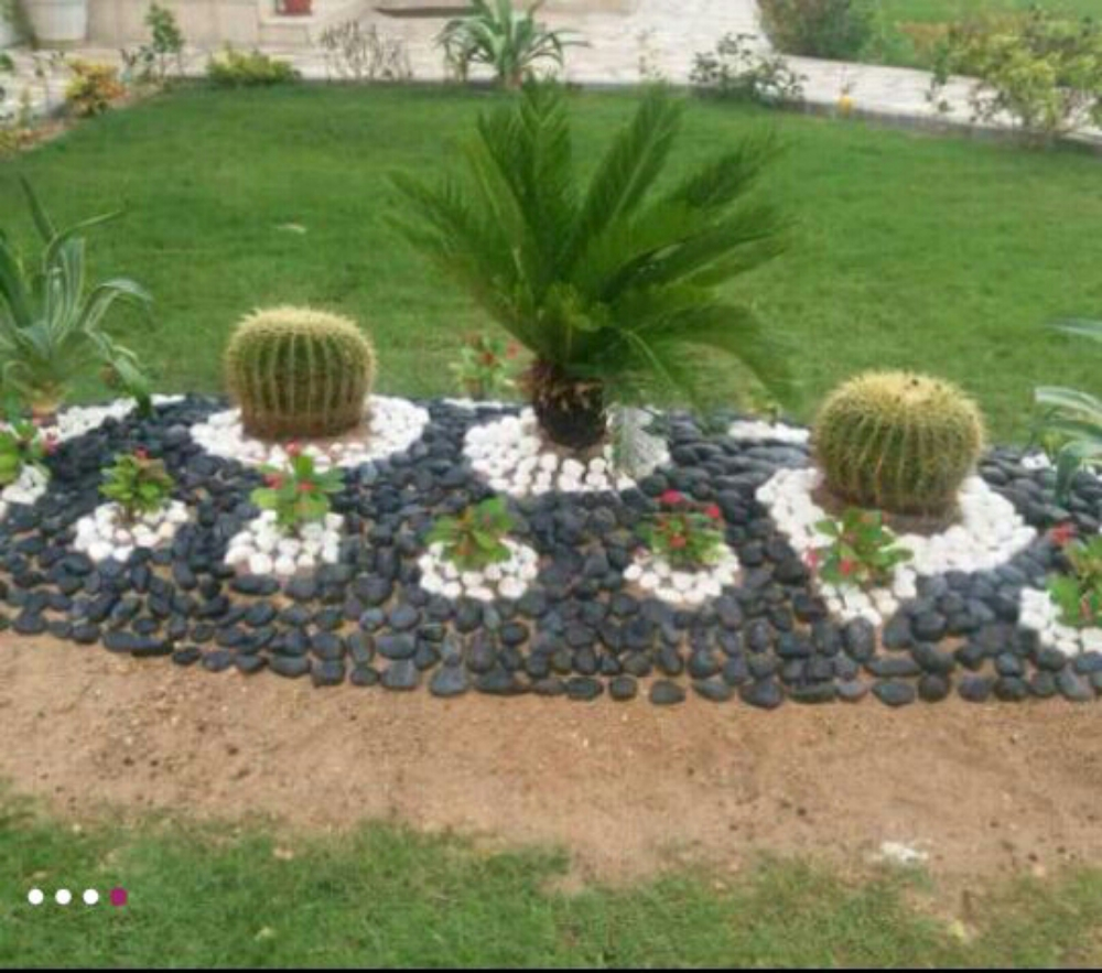 العناية بل الحدايق - 8