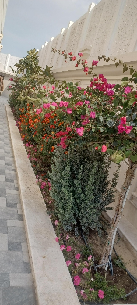 العناية بل الحدايق - 7