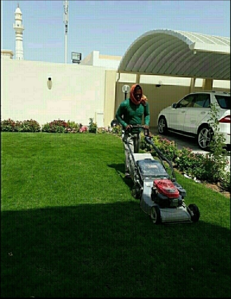 مزارع  - 1