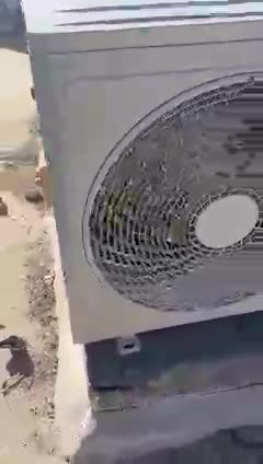 وأن سينس - 1