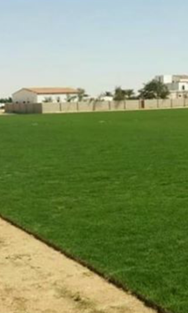 ٥٥٩١١٠١٧ لكافة أعمال الزراعة - 9