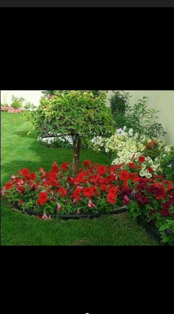 Garden decor and agriculture - 13