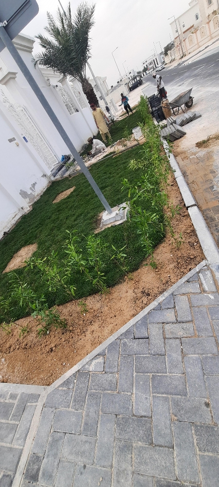 طين مخلوط للزرع - 2
