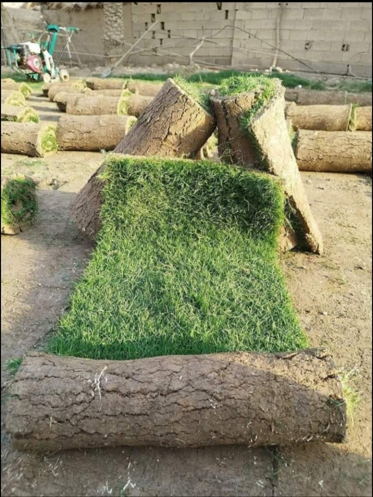 زراعة الحدائق - 1