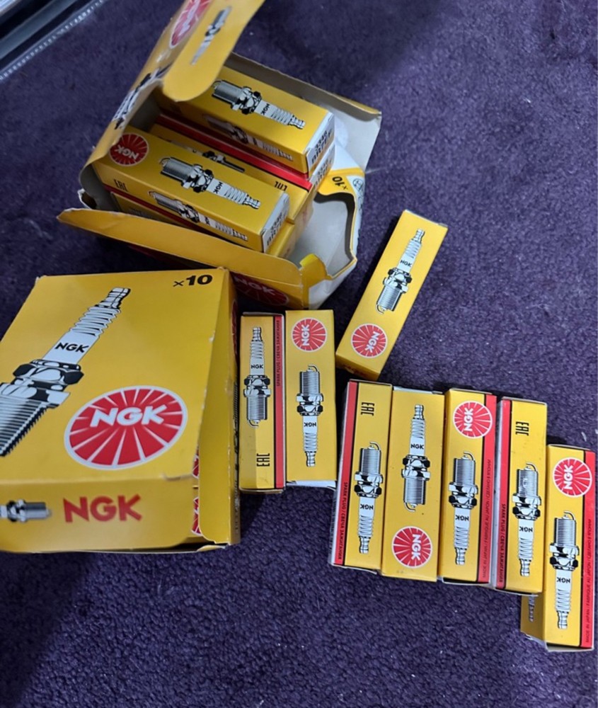 بلكات ومثنول وكويلات ريس - 3