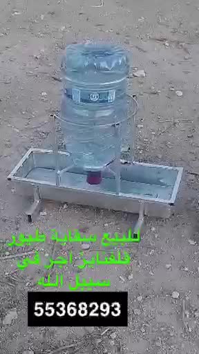 للطيور والحمام والدجاج - 1