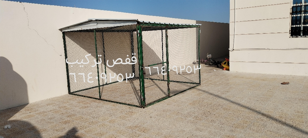 دجاج 4/4؟ - 1