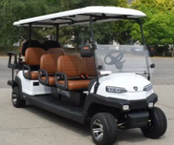 Rental Golf carts Sale 70310786 - 1