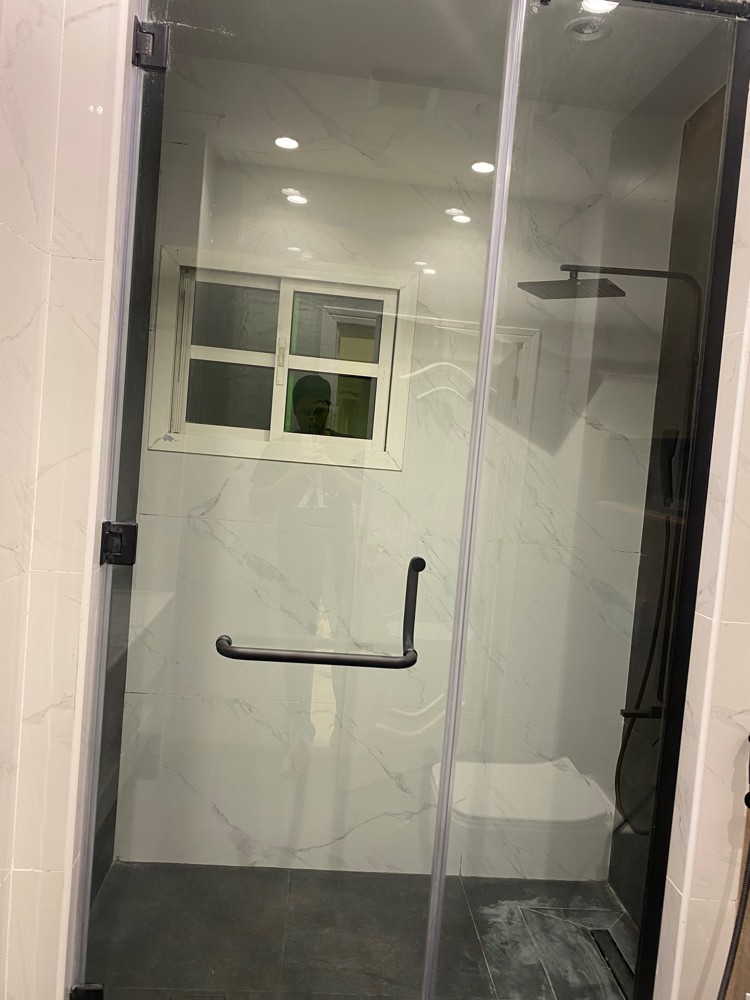 glass shower door - 12