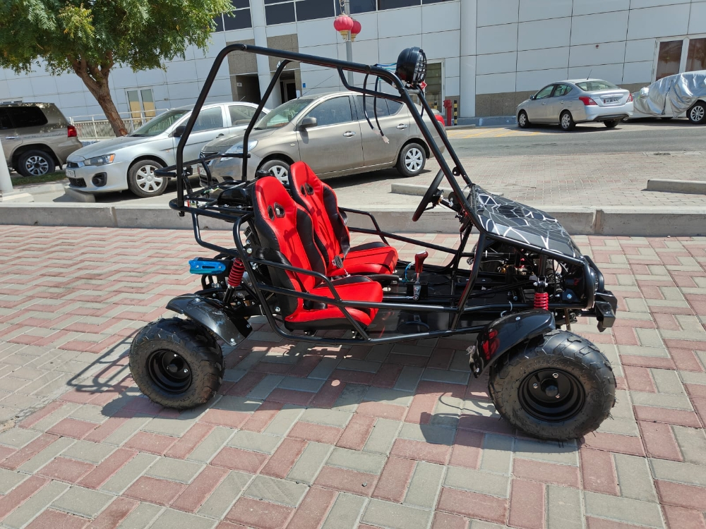 Buggy 150cc - 3