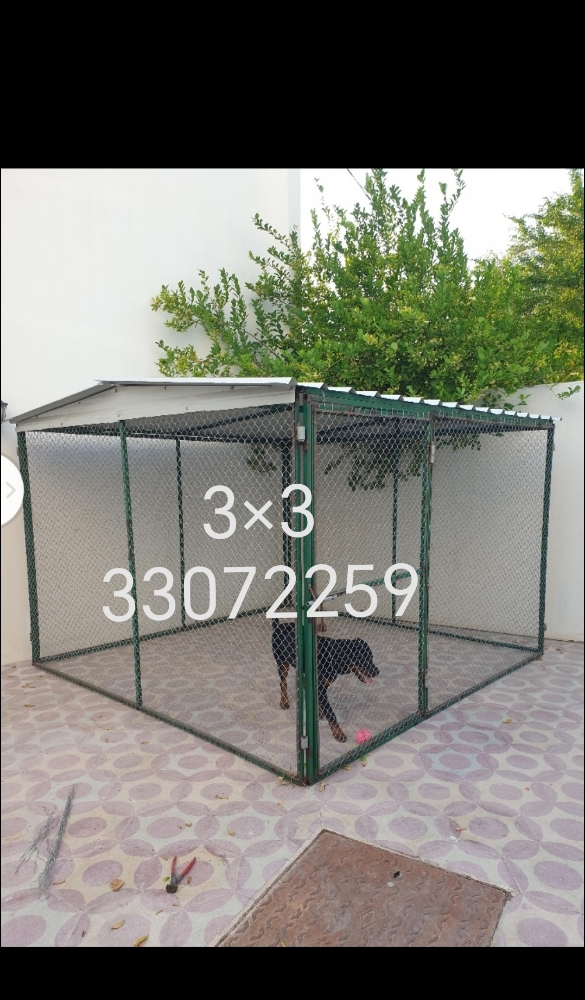 جديد جيذ - 1