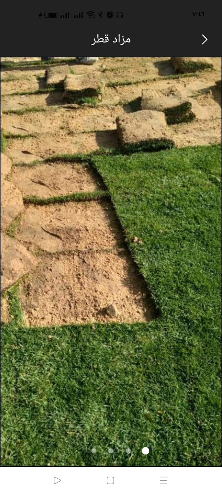 حشيش طبيعي - 1