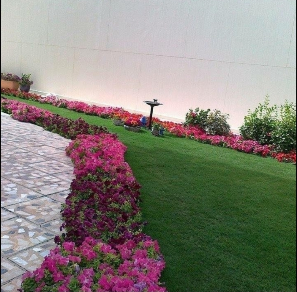 صيانه الحدائق - 4