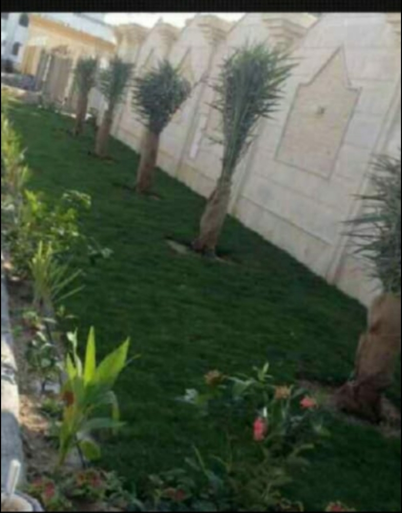 متخصصون في أعمال الزراعة - 1