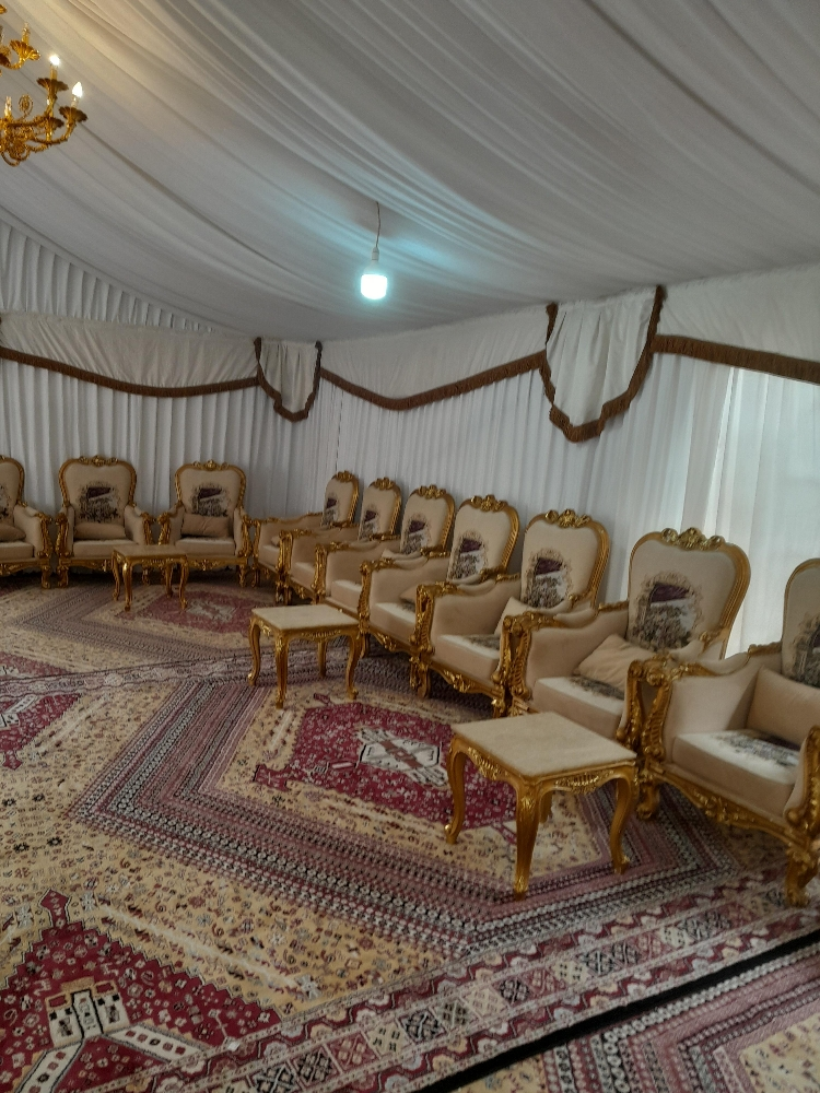 ابة هامور اليوم - 2
